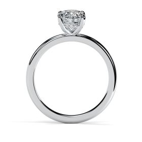 Charlotte Hidden Halo Platinum Engagement Ring Oval