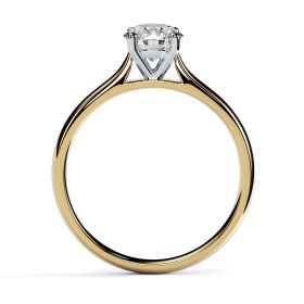 Mila 0.50ct G/VS2 Brilliant Diamond 18ct Yellow Gold & Platinum Ring