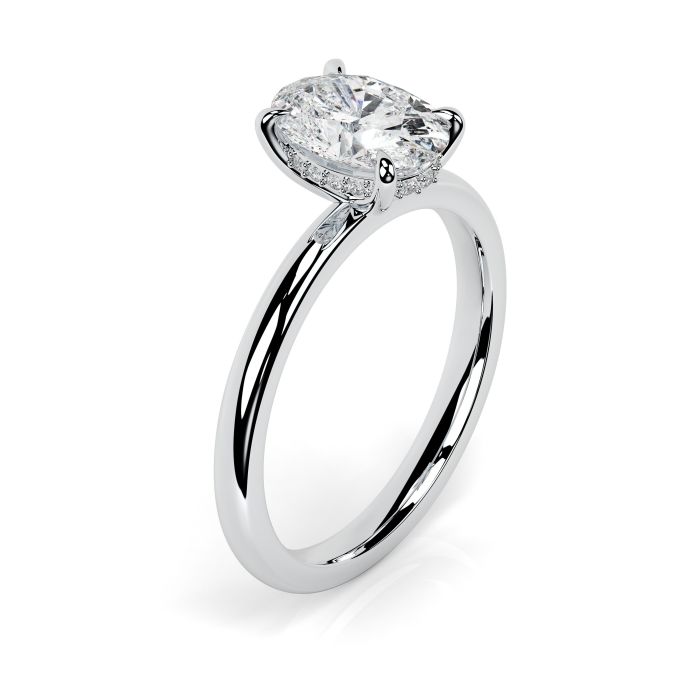Charlotte Hidden Halo Platinum Engagement Ring Oval