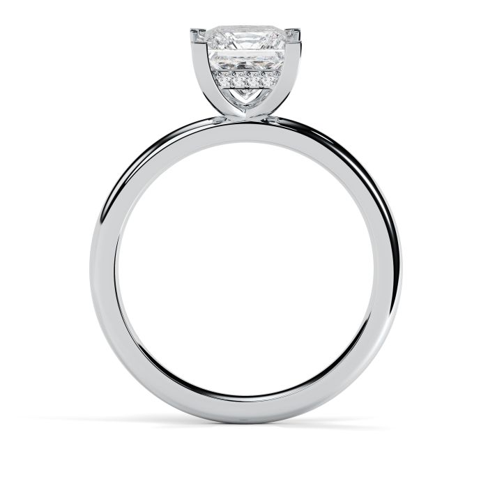 Charlotte Hidden Halo Platinum Engagement Ring Princess Cut