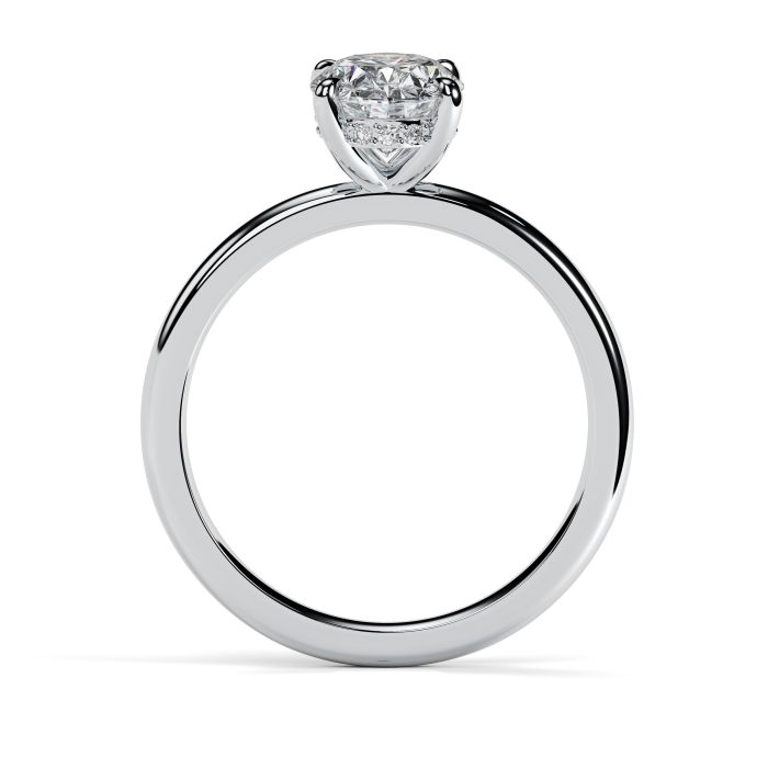 Charlotte Hidden Halo Platinum Engagement Ring Oval